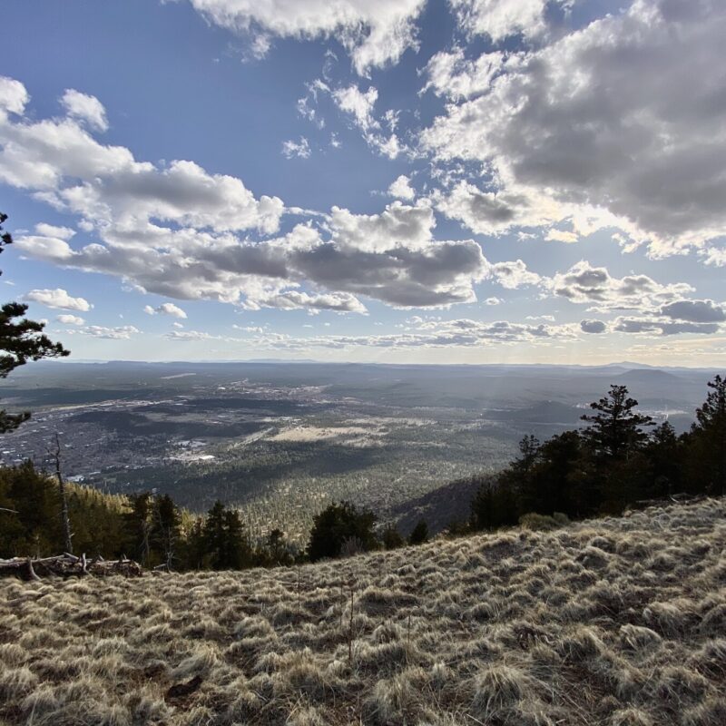 Top of Mt. Elden