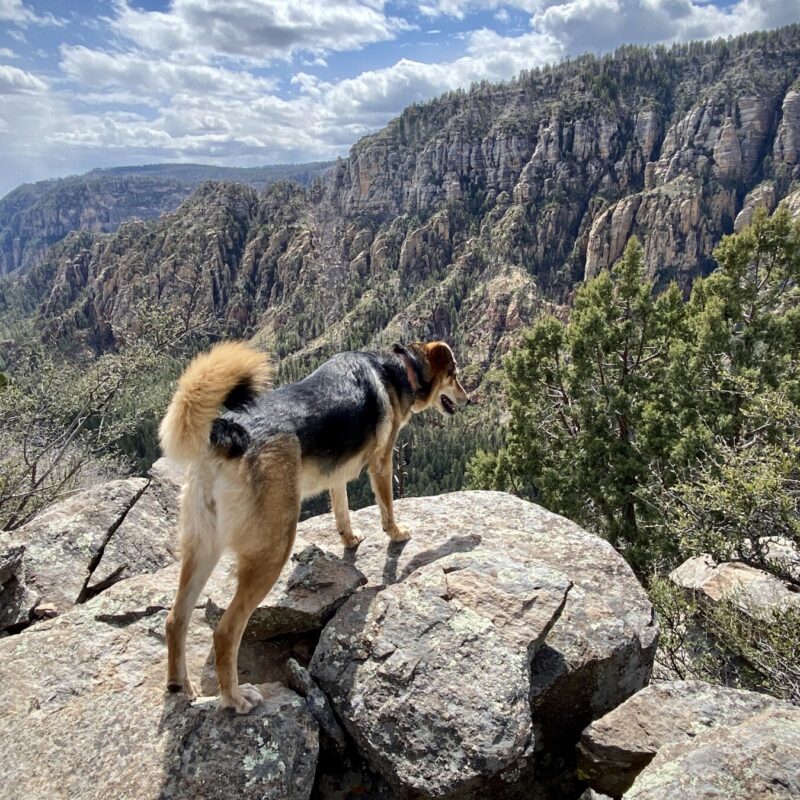 Oak Creek Canyon