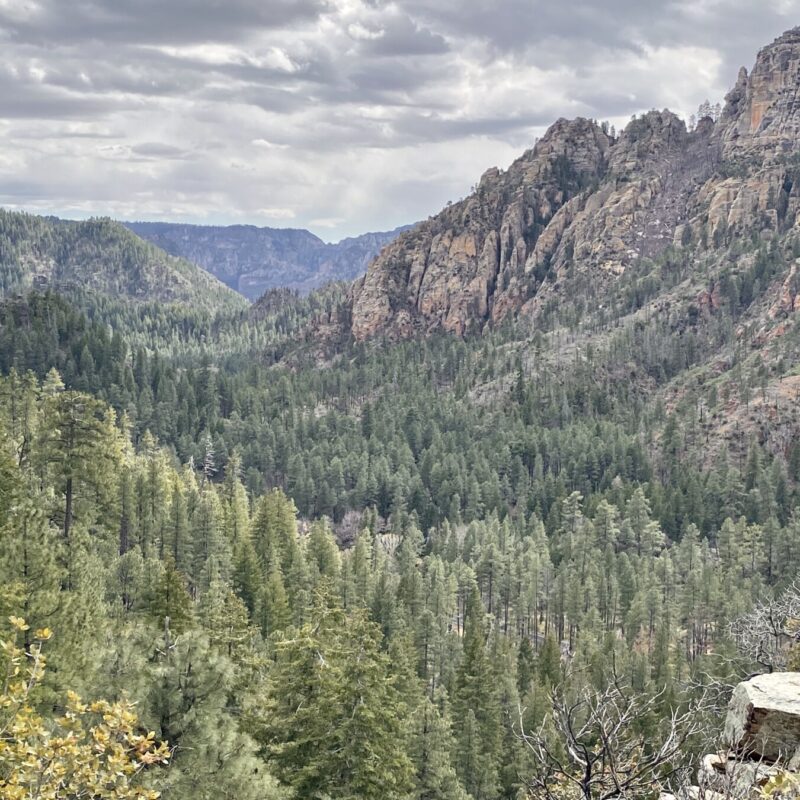 Oak Creek Canyon