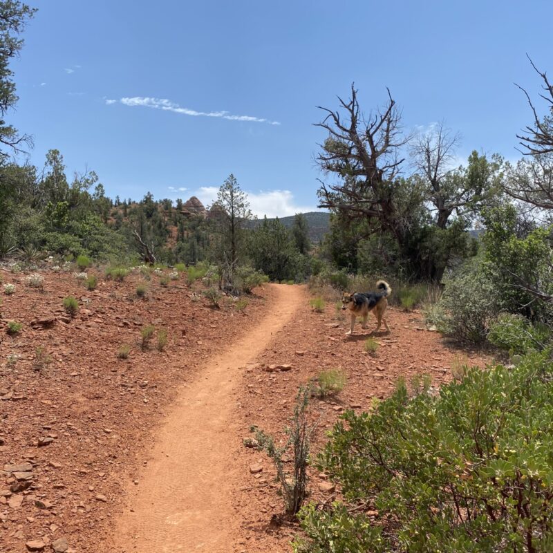 Turkey Creek Trail
