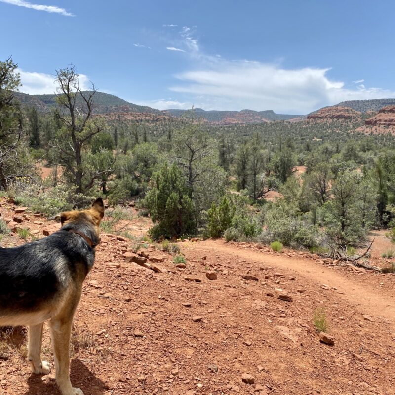 Turkey Creek Trail