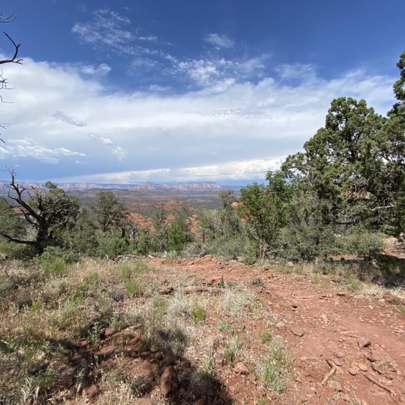 Turkey Creek Trail