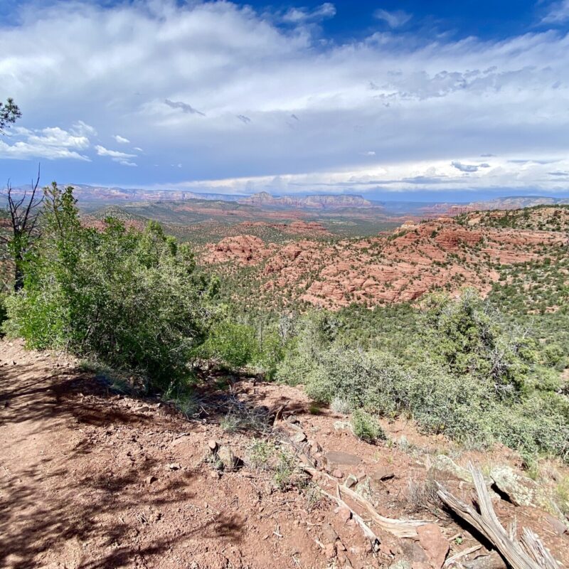 Turkey Creek Trail