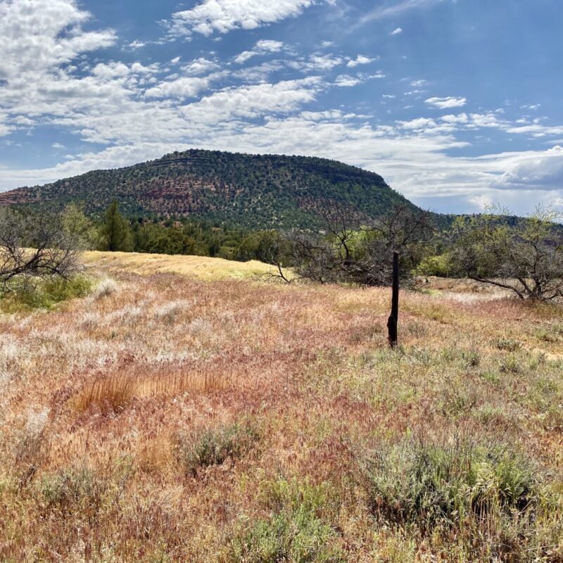 Sedona Hiking