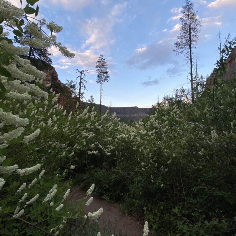 Oak Creek Canyon