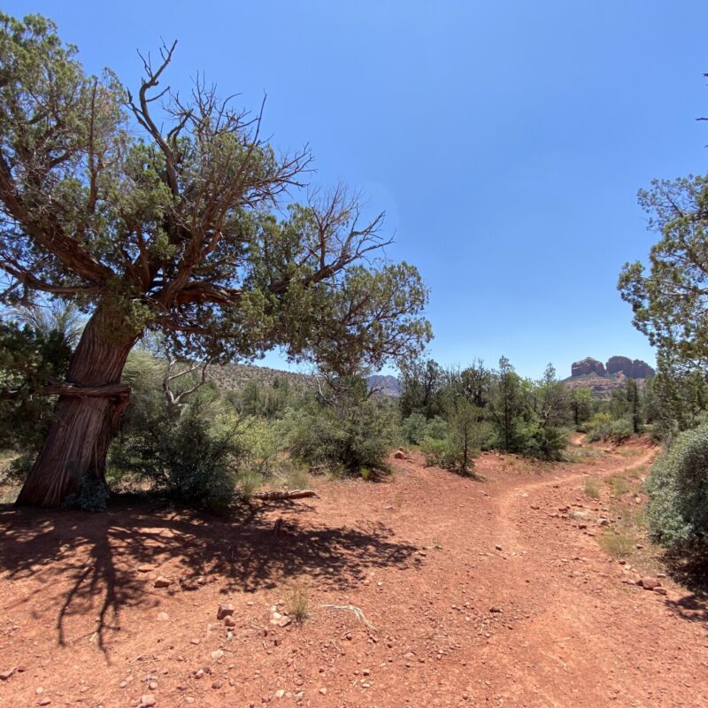 Turkey Creek Trail