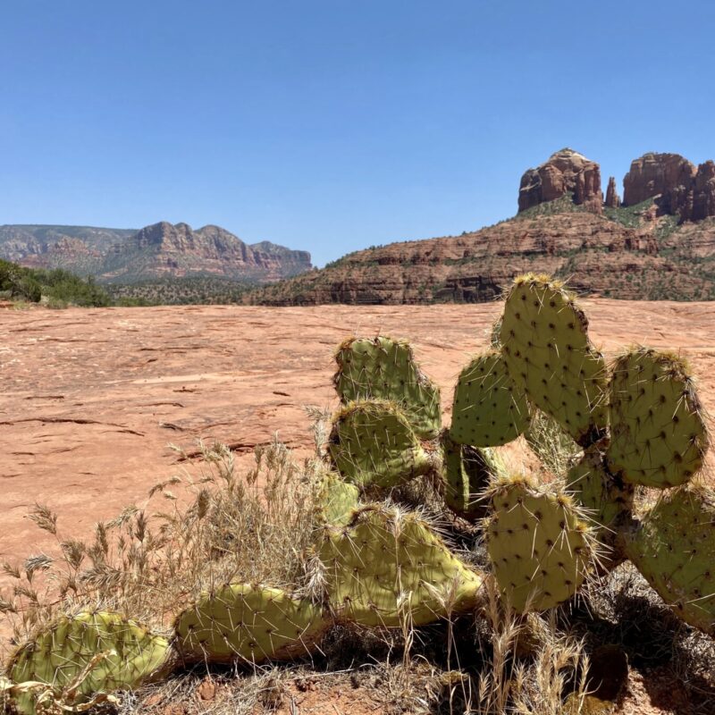 Sedona Hiking