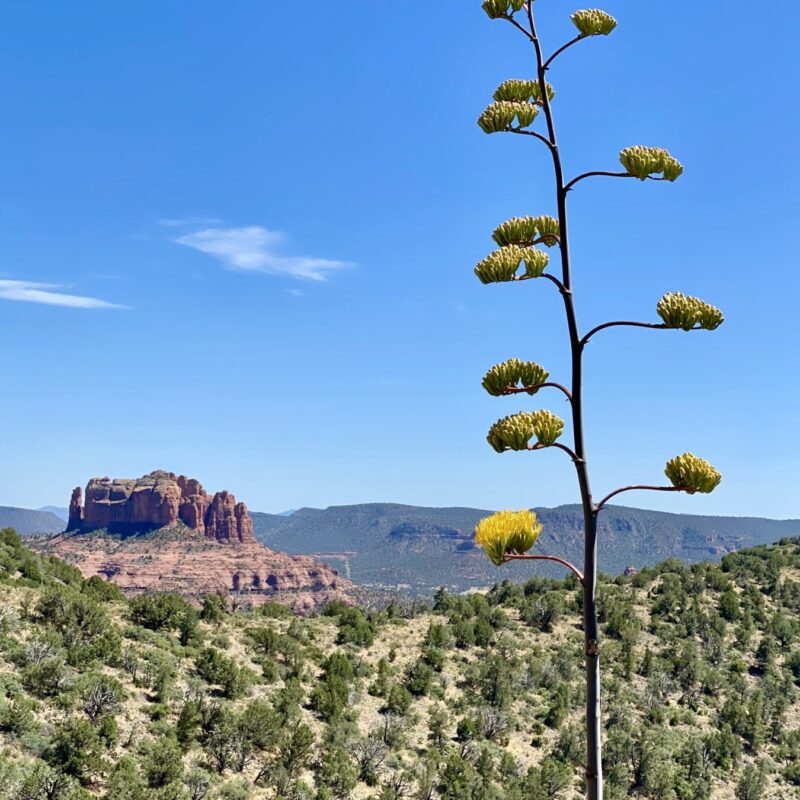 Sedona Hiking