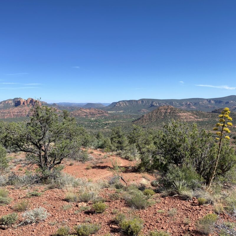 Sedona Trails
