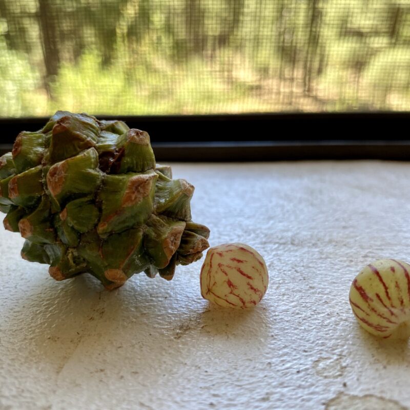 Trail Trinkets