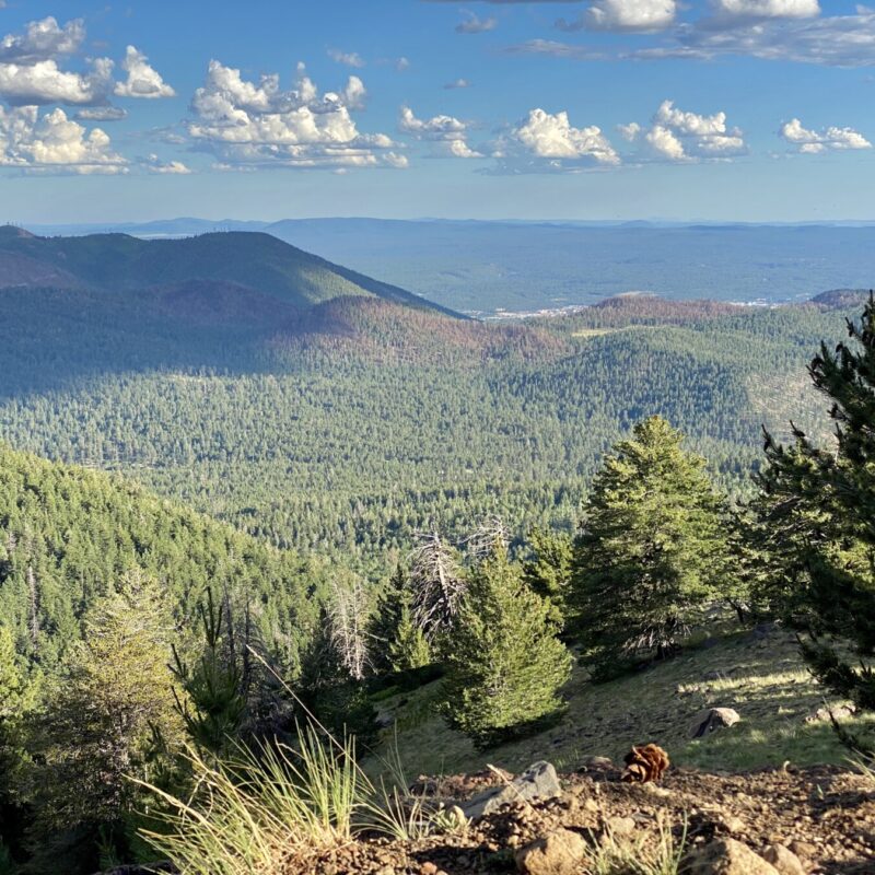 Weatherford Trail