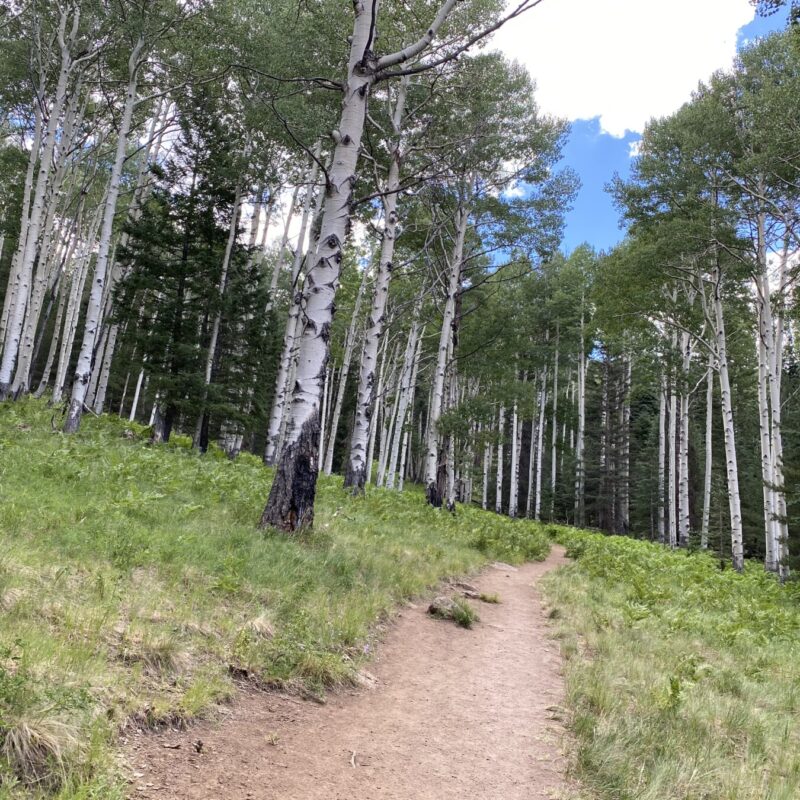 Weatherford Trail