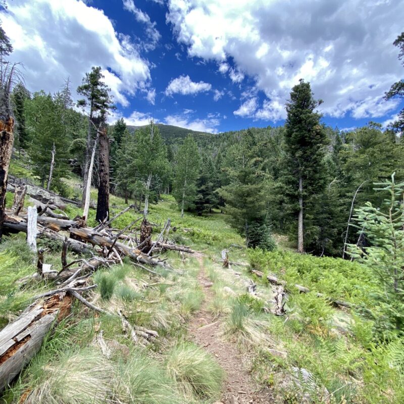 Kachina Trail