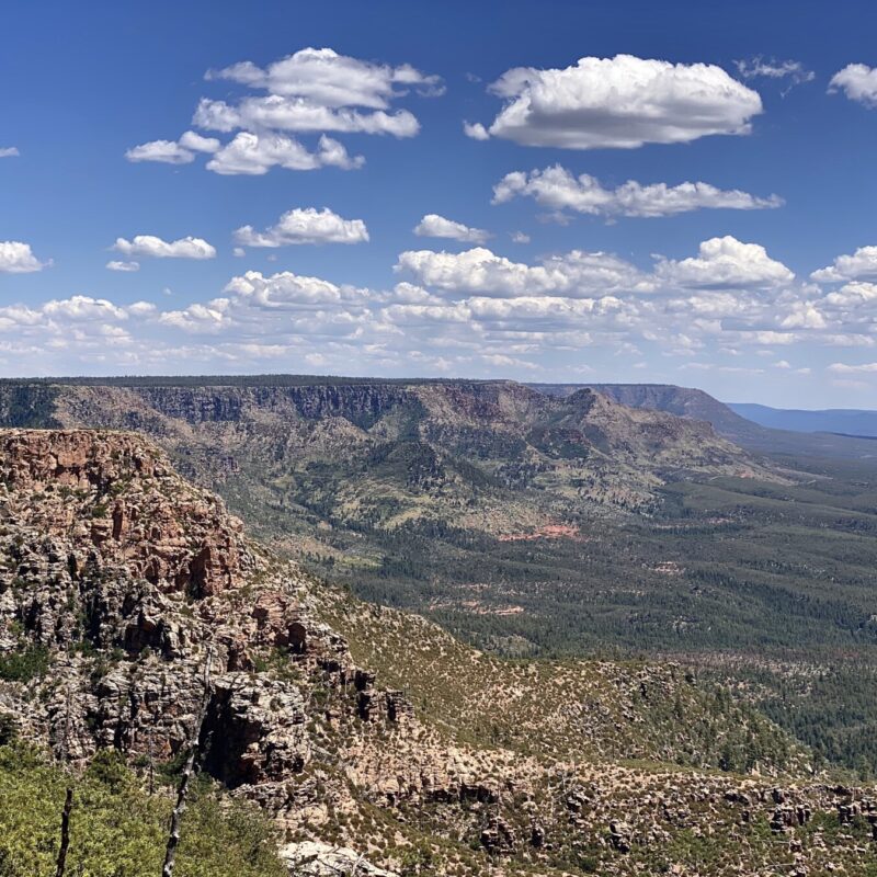 Mogollon Rim