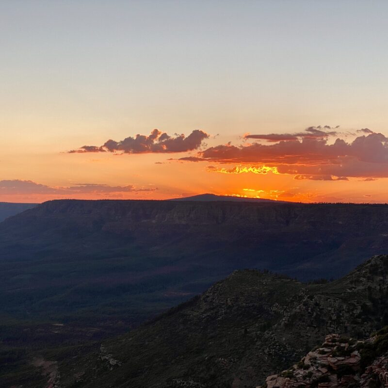 Mogollon Rim