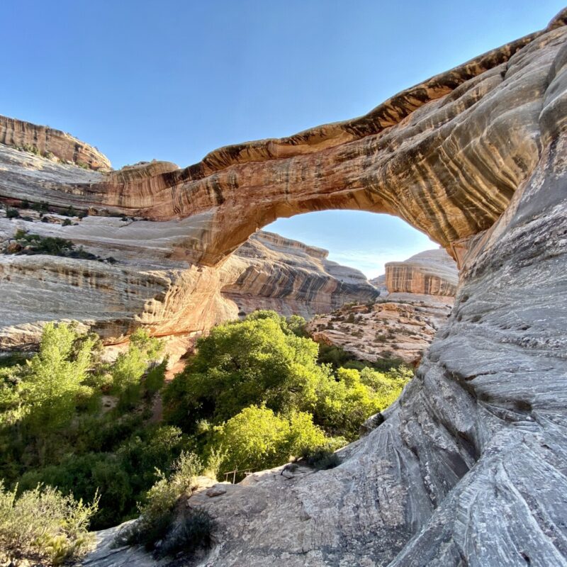 Natural Bridges National Monument