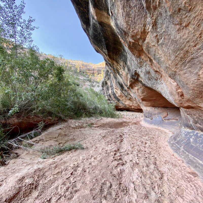Natural Bridges National Monument