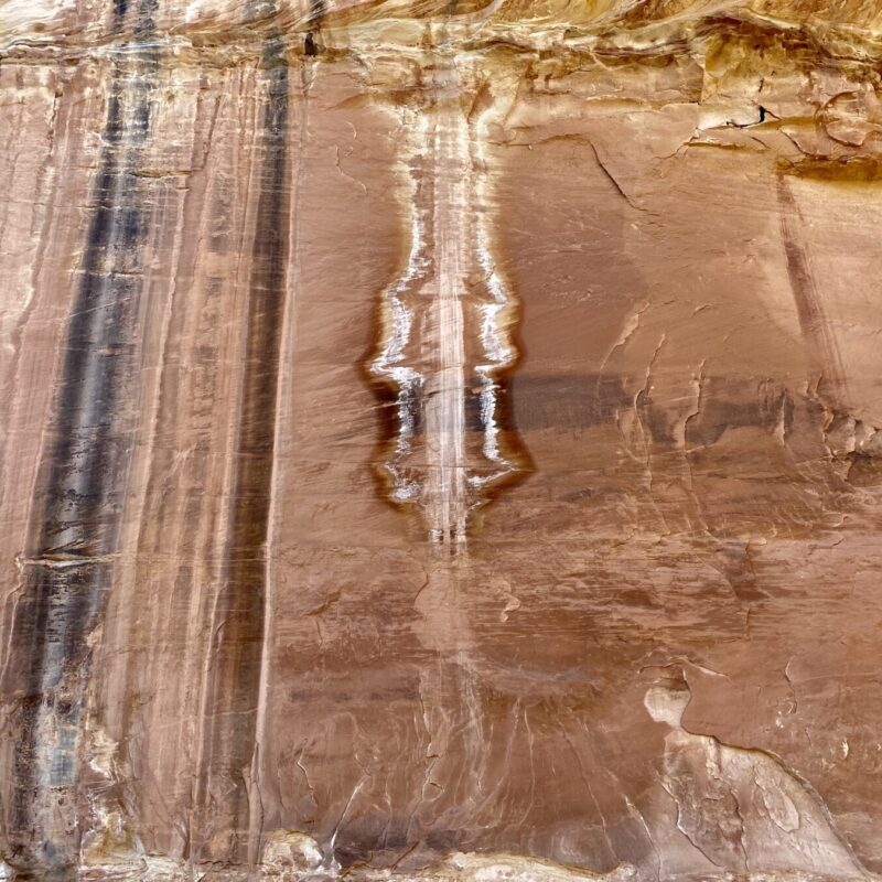 Natural Bridges National Monument