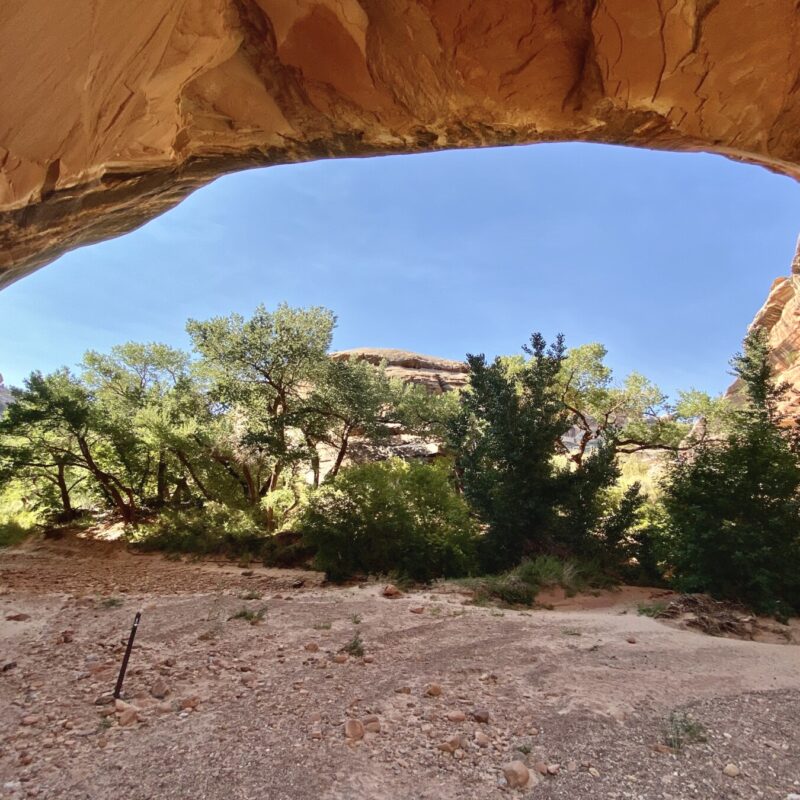 Natural Bridges National Monument