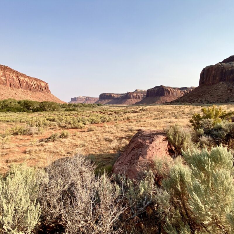 Canyonlands - Needles