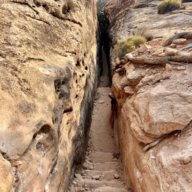 Canyonlands - Needles