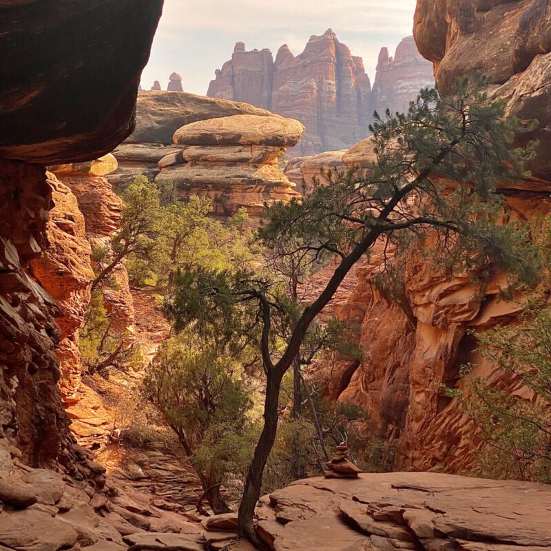 Canyonlands - Needles