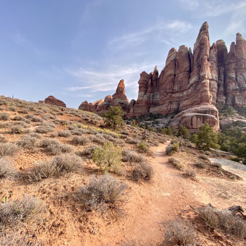 Canyonlands - Needles