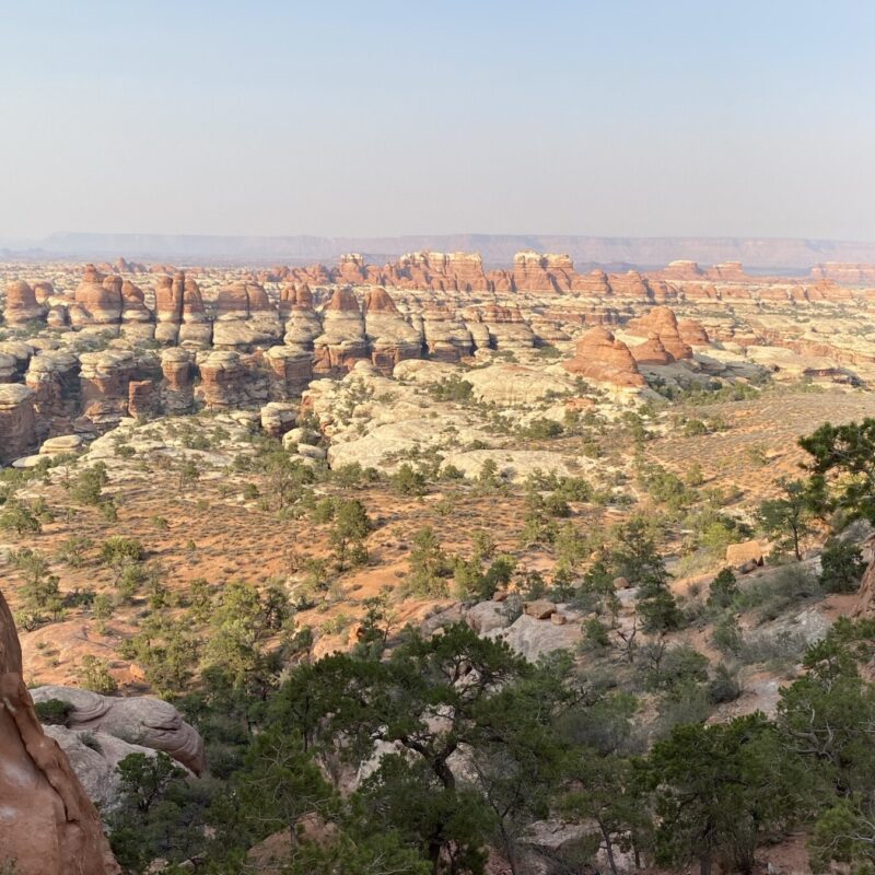 Canyonlands - Needles