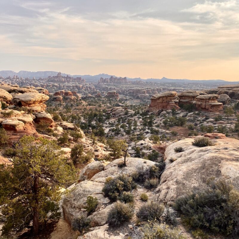 Canyonlands - Needles