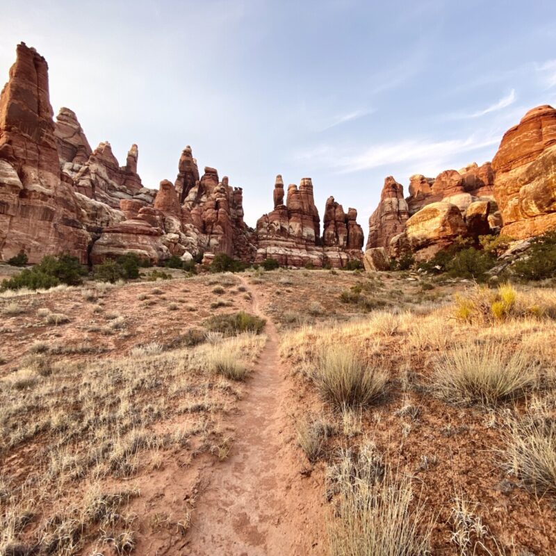 Canyonlands - Needles