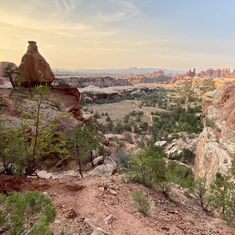 Canyonlands - Needles