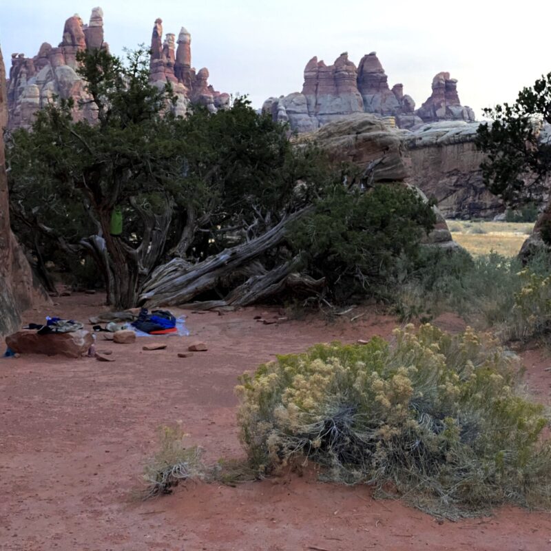 Canyonlands - Needles