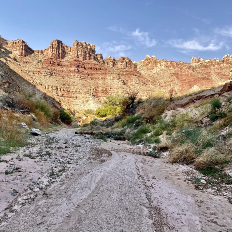 Canyonlands - Needles