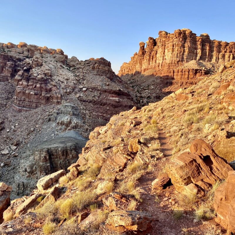 Canyonlands - Needles