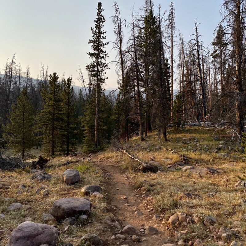 Kings Peak - Henry's Fork