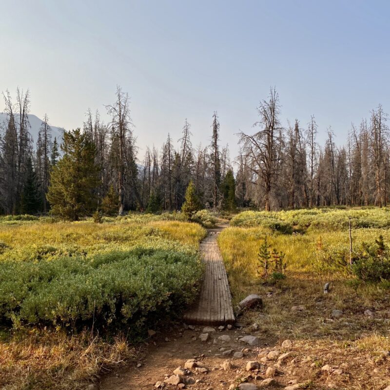 Kings Peak - Henry's Fork