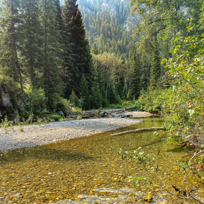 Tetons - Granite Canyon