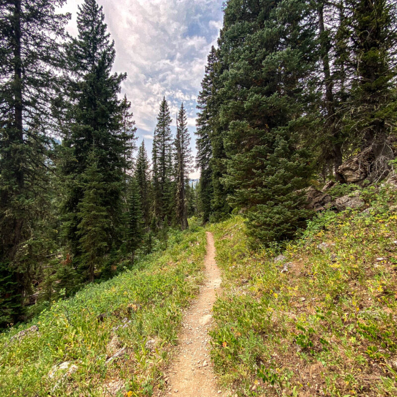 Tetons - Granite Canyon
