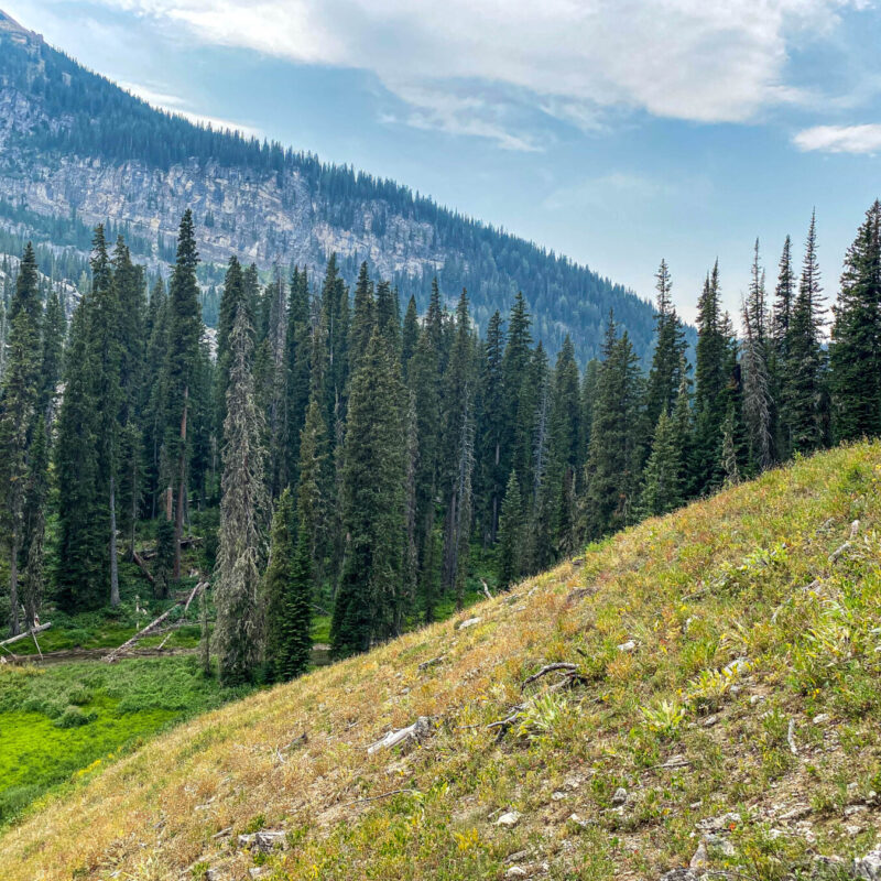 Tetons - Granite Canyon