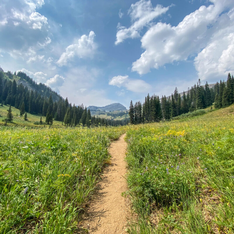 Tetons - Granite Canyon