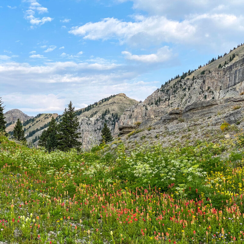 Tetons - Death Canyon Shelf