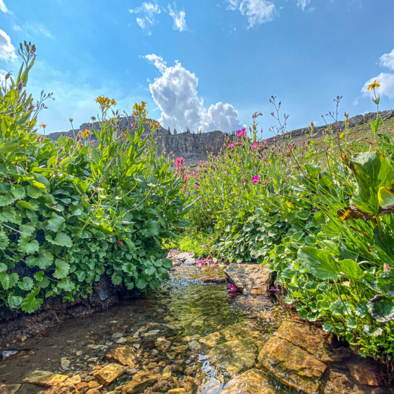 Tetons - Alaska Basin