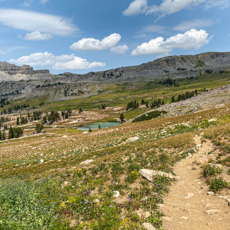 Tetons - Alaska Basin