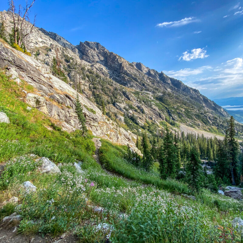 Tetons - Paintbrush Canyon