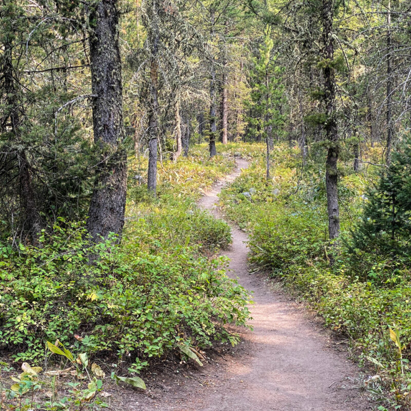 Tetons - Granite Canyon