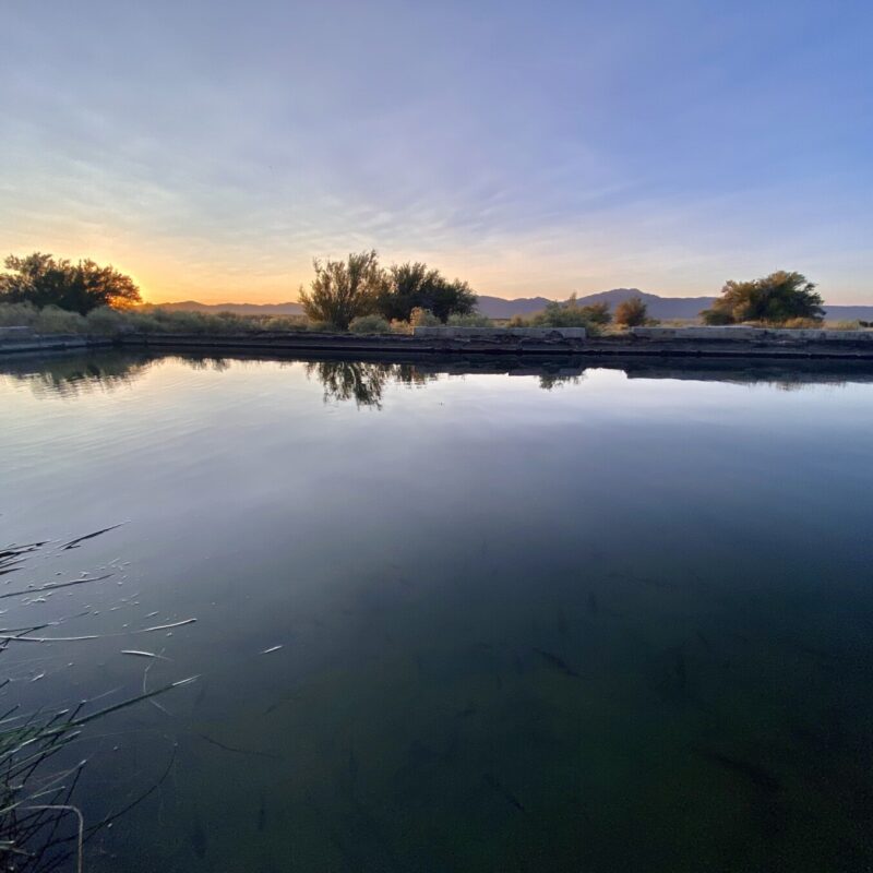 Exodus - Alkali Hot Springs