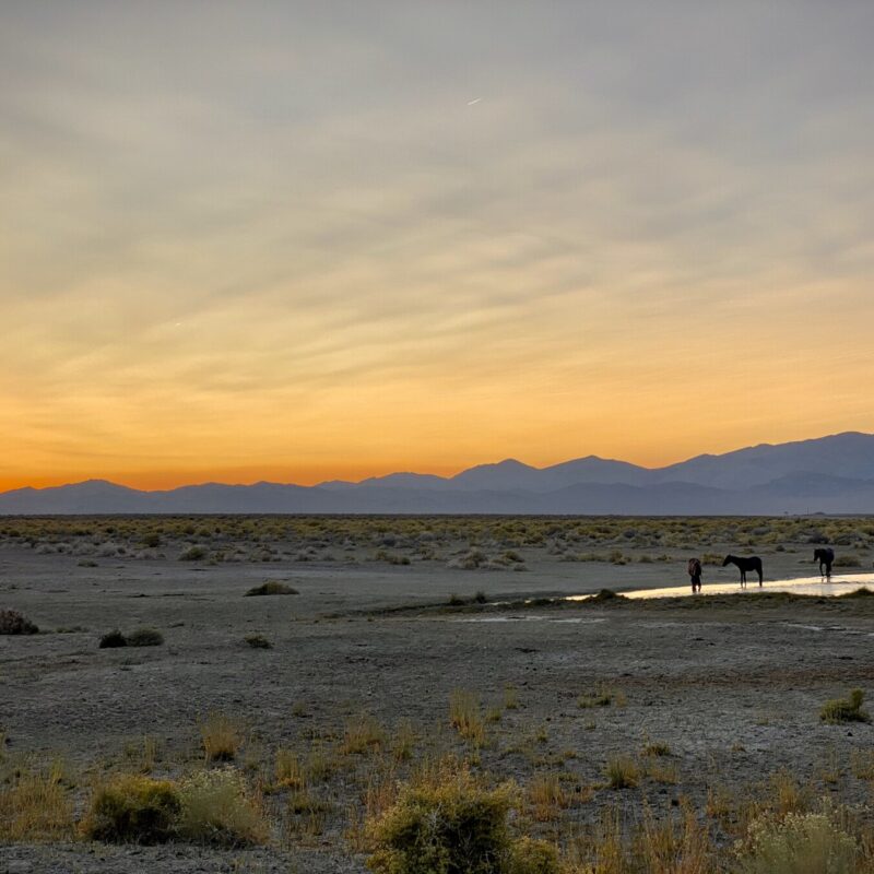Exodus - Alkali Hot Springs