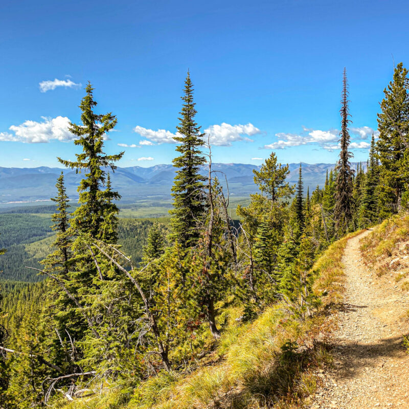 Glacier - Numa Ridge