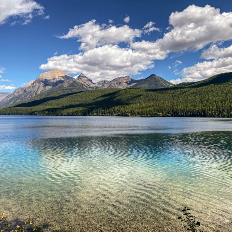 Glacier - Bowman Lake