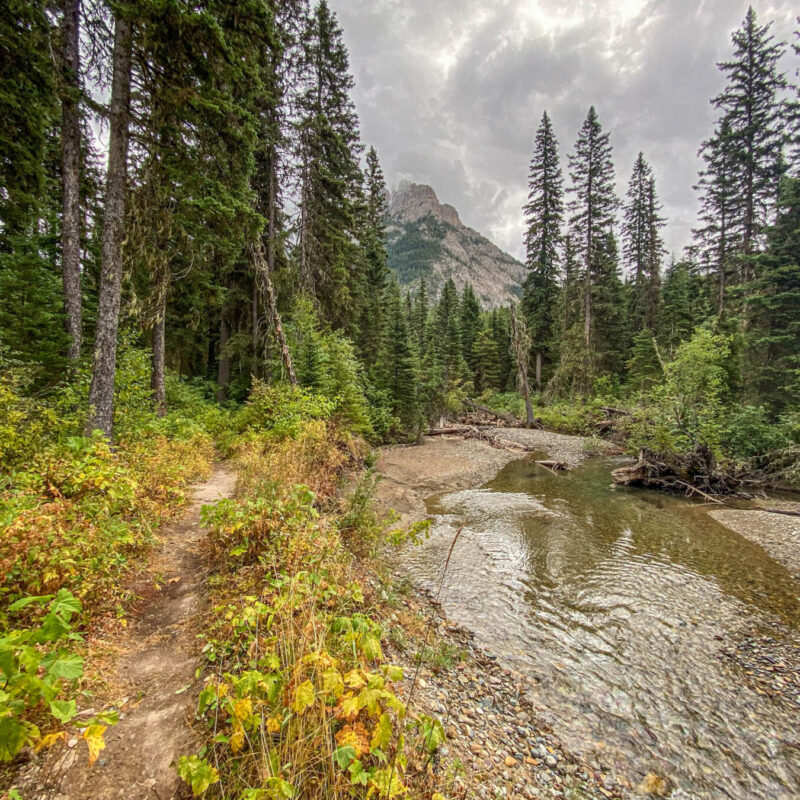 Glacier - Bowman Lake